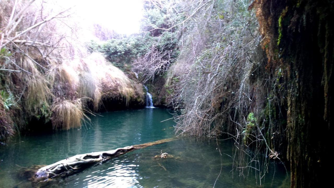 Fuentealbilla Casa Rural Tia Catalina מראה חיצוני תמונה
